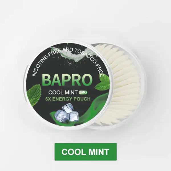 Wholesale Flavored Nicotine Pouches: A Safe and Smokeless Alternative